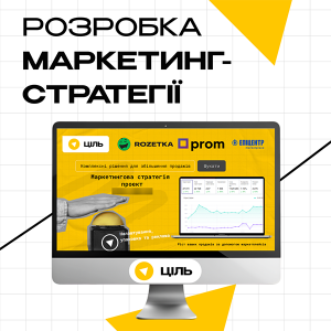 Разработка маркетинг-стратегии для товарного бизнеса